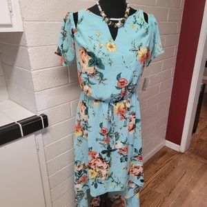Belle Sky Blue Floral Dress